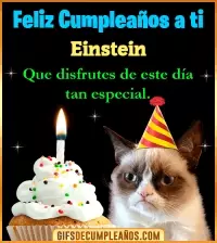 Gato meme Feliz Cumpleaños Einstein